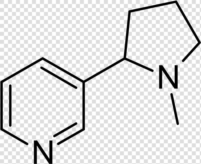 3 Hydroxy 6 Methylpyridine  HD Png DownloadTransparent PNG