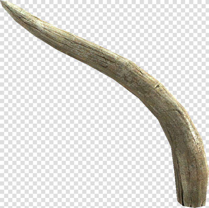 Elder Scrolls   Elephant Ivory Png  Transparent PngTransparent PNG