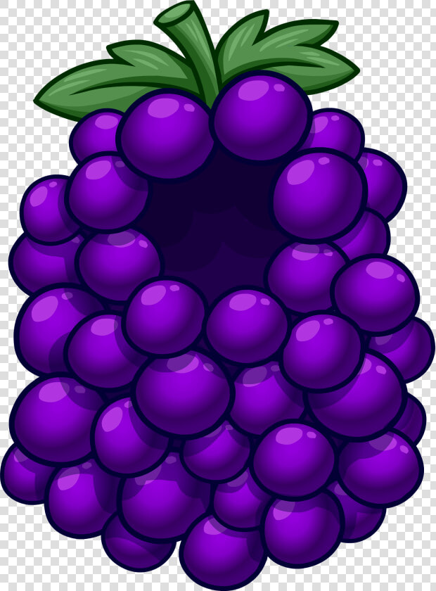 John Cena Clipart Grape   Club Penguin Grape Costume  HD Png DownloadTransparent PNG