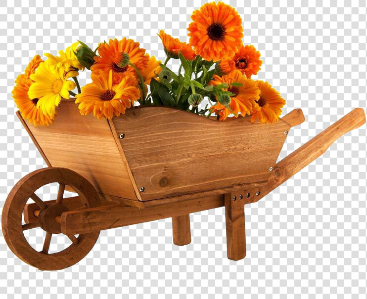 Wheelbarrow Flower Marigold Photography  HD Png DownloadTransparent PNG