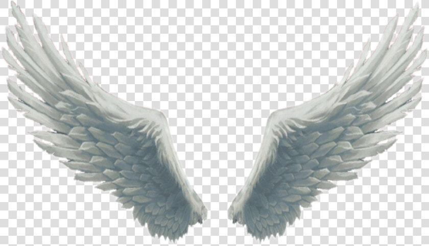  big  beautiful  white  fluffy  wings  angelwings  angel  HD Png DownloadTransparent PNG