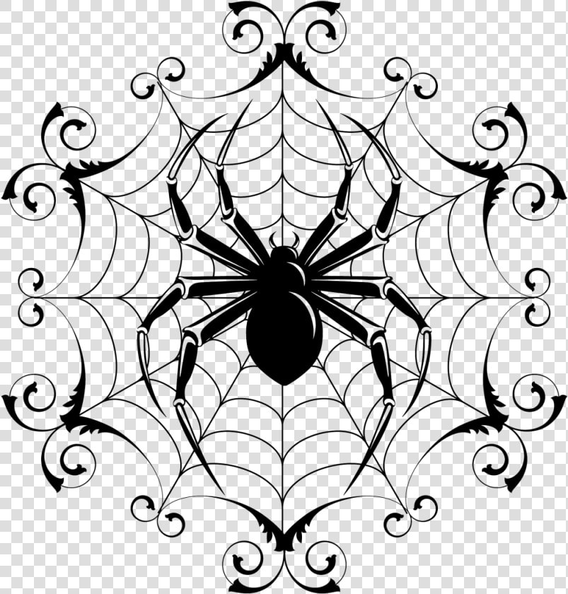 Cartoon Halloween Pictures To   Drawings Of Spiders In Webs  HD Png DownloadTransparent PNG