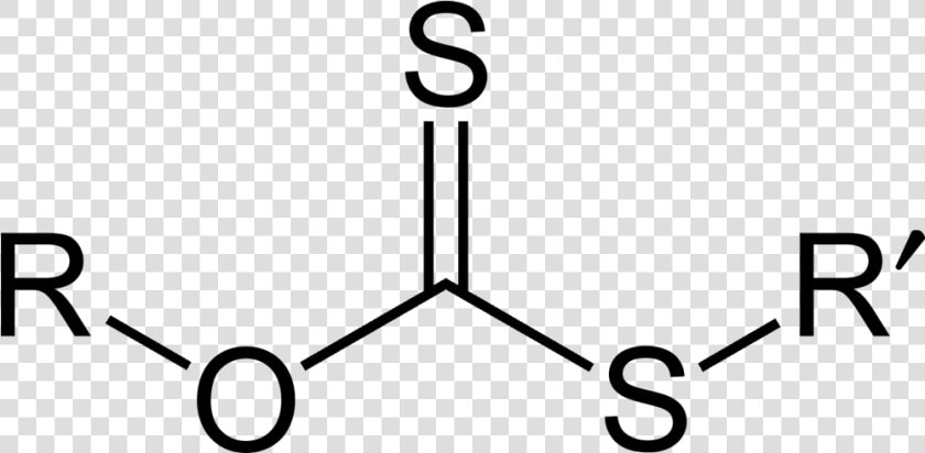 Xanthate Ester 2d General   Xanthate Structure  HD Png DownloadTransparent PNG