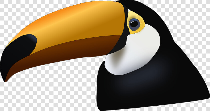 Transparent Toucan Clipart   Bico De Tucano Png  Png DownloadTransparent PNG