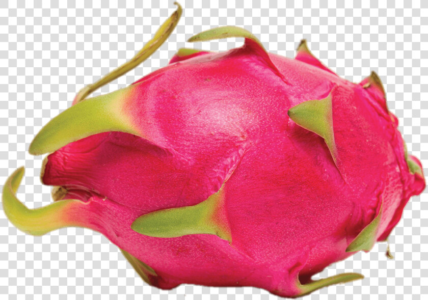 Whole Dragon Fruit   Dragon Fruit  HD Png DownloadTransparent PNG