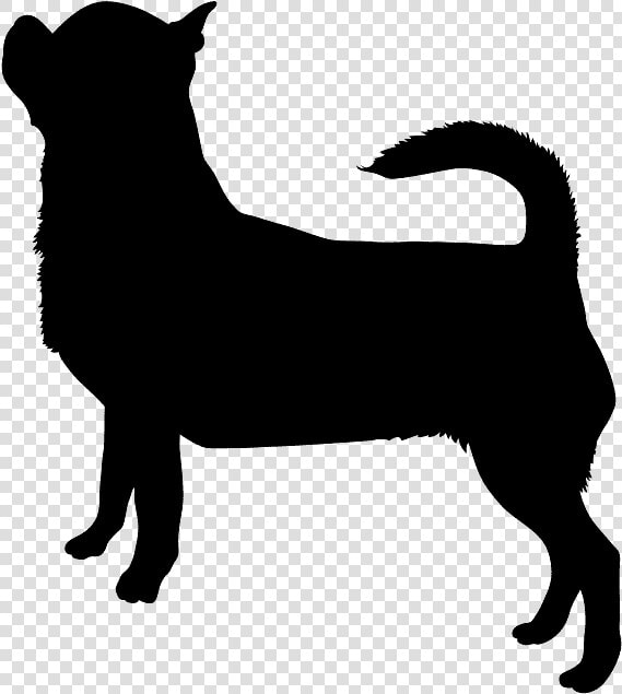 Chihuahua Silhouette  HD Png DownloadTransparent PNG