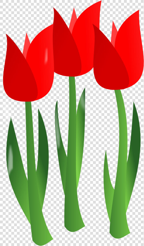 Free Revolution Fist Free Charles Darwin Free Flowers   Clip Art April Flowers  HD Png DownloadTransparent PNG