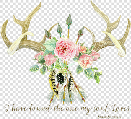 Boho Love   Deer Antlers Floral Inspirational  HD Png DownloadTransparent PNG