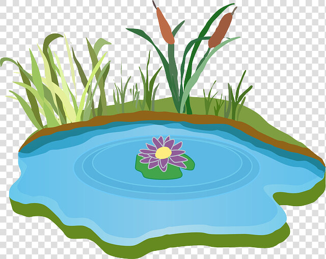 Water Clipart Pond   Lake Clipart  HD Png DownloadTransparent PNG