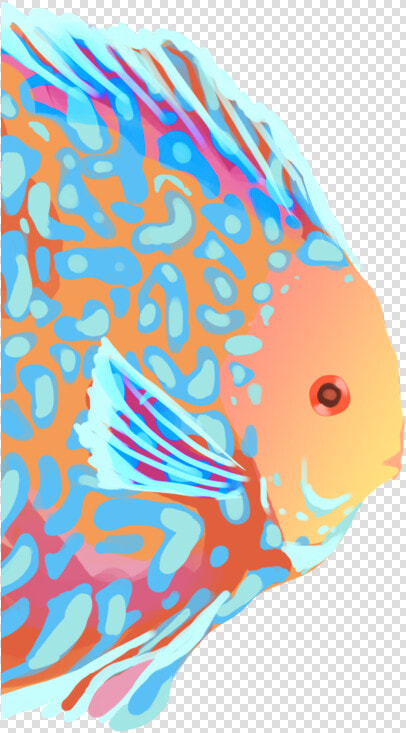 Pomacentridae  HD Png DownloadTransparent PNG