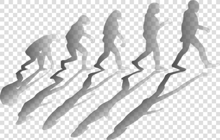 Transparent Evolve Png   Evolucion Png  Png DownloadTransparent PNG