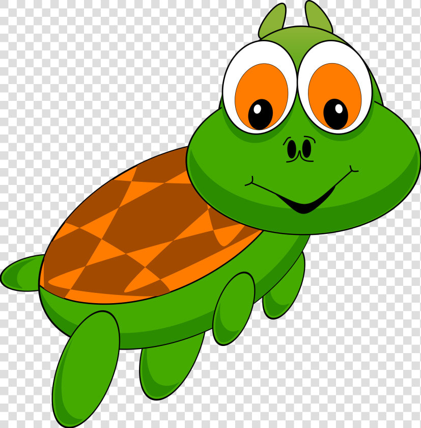 Free Turtle And Animations Clipart Clipart   Cartoon Turtle Transparent Background  HD Png DownloadTransparent PNG