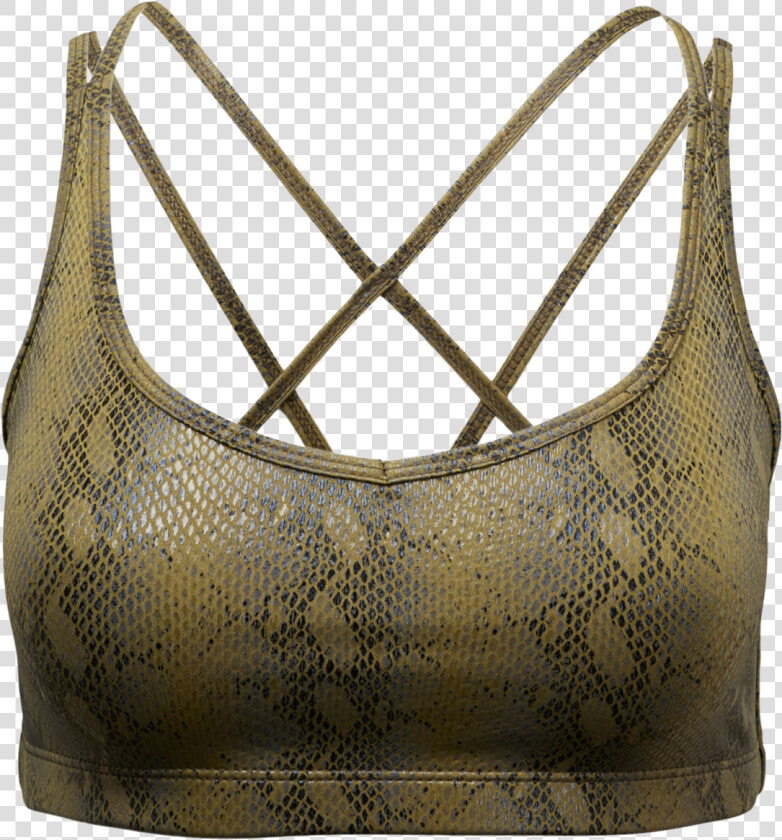 Brassiere  HD Png DownloadTransparent PNG