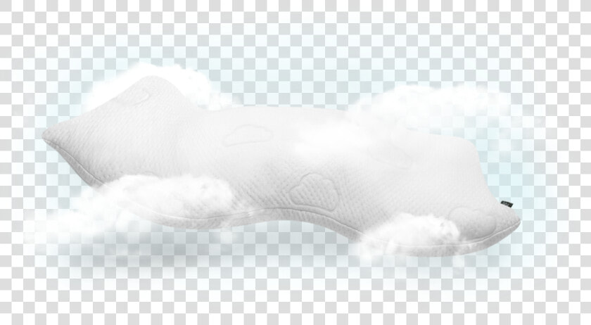 Cuddle A Cloud Src   cdn   Bearded Seal  HD Png DownloadTransparent PNG