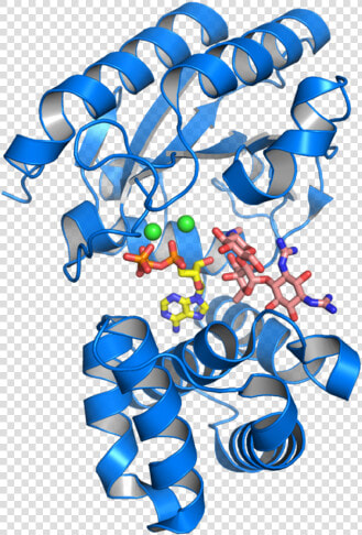 Antibiotic Resistance Enzyme With A Molecule Of Streptomycin   Antibiotic Resistance Proteins  HD Png DownloadTransparent PNG