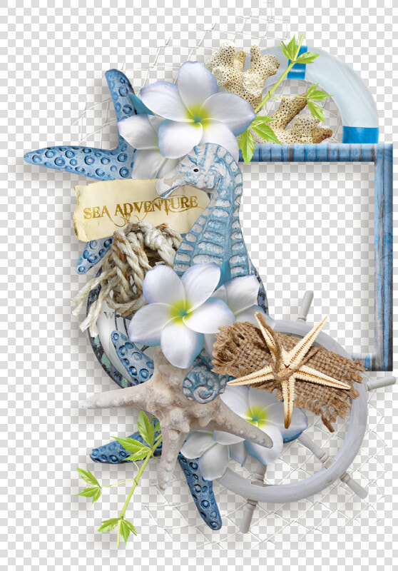 Png Flowers And Clusters   Border Nautical Transparent Frame Sea  Png DownloadTransparent PNG