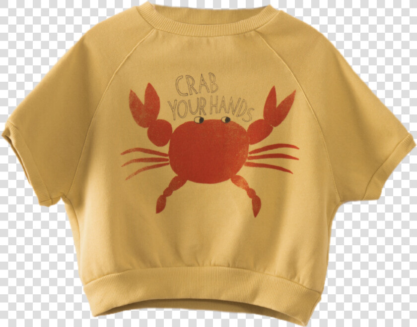 Christmas Island Red Crab  HD Png DownloadTransparent PNG