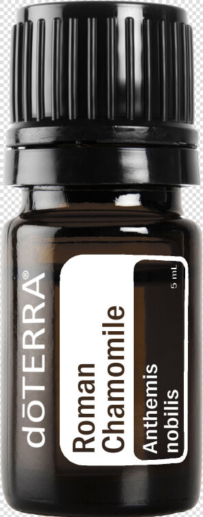 Doterra Cptg Roman Chamomile Essential Oil 5ml   Doterra Melissa  HD Png DownloadTransparent PNG