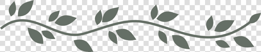 Leaf Divider Png   Leaves Divider Png Transparent  Png DownloadTransparent PNG