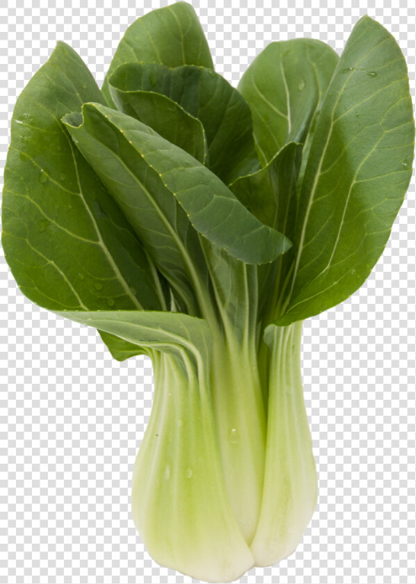 Baby Bok Choy Chinese Vegetable   Chou De Chine  HD Png DownloadTransparent PNG