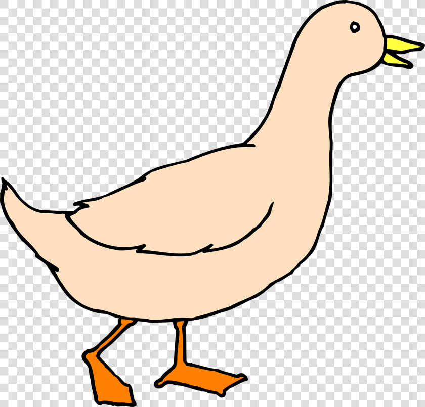 Transparent Duck Clipart Png   Walking Duck Clipart  Png DownloadTransparent PNG