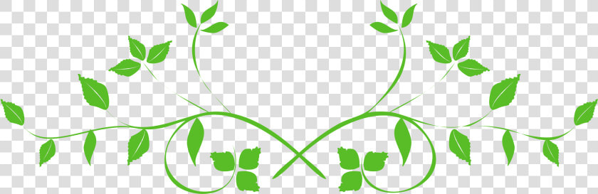 Leaf Swirl Png Background Image   Transparent Transparent Background Leaf Png  Png DownloadTransparent PNG