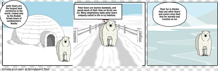 Polar Bear Storyboard Adaptations  HD Png DownloadTransparent PNG