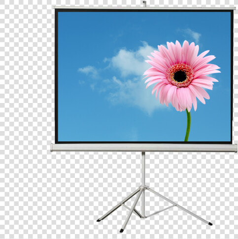 1024   1024 Image Flower  HD Png DownloadTransparent PNG