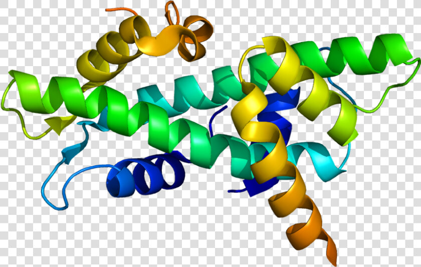 Protein Nfyb Pdb 1n1j   Ascl1 Protein 3d Structure  HD Png DownloadTransparent PNG