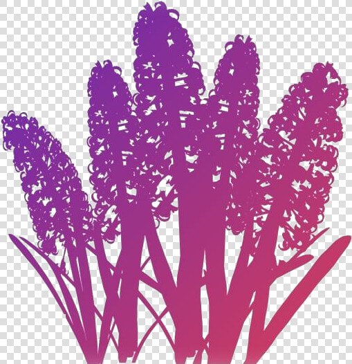 Hyacinth Flower Png Free Transparent Clipart   Flower  Png DownloadTransparent PNG