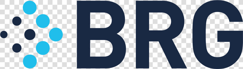 Berkeley Research Group Llc   Berkeley Research Group  HD Png DownloadTransparent PNG