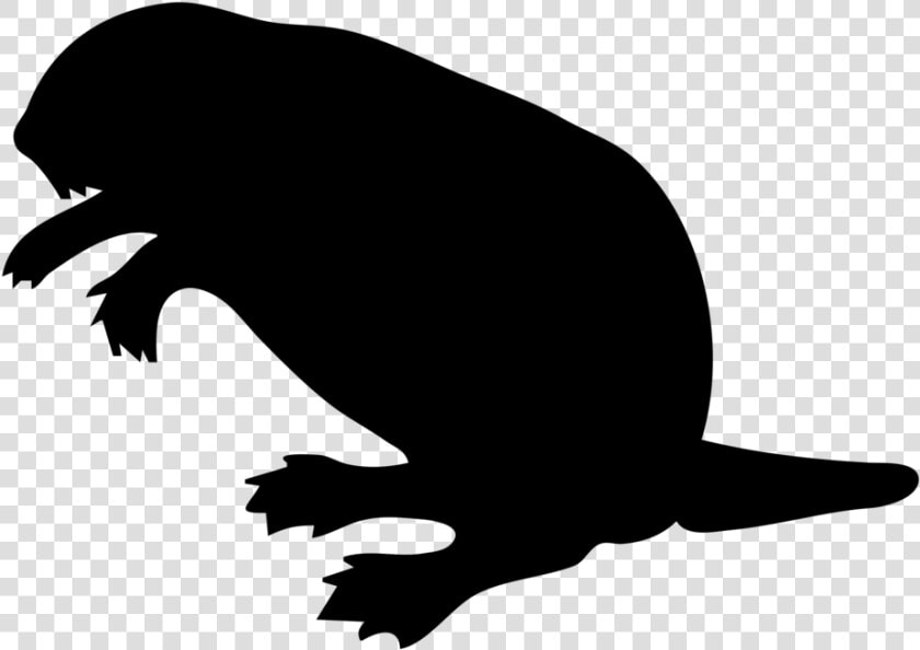 Beaver Png Image   Beaver Clip Art  Transparent PngTransparent PNG