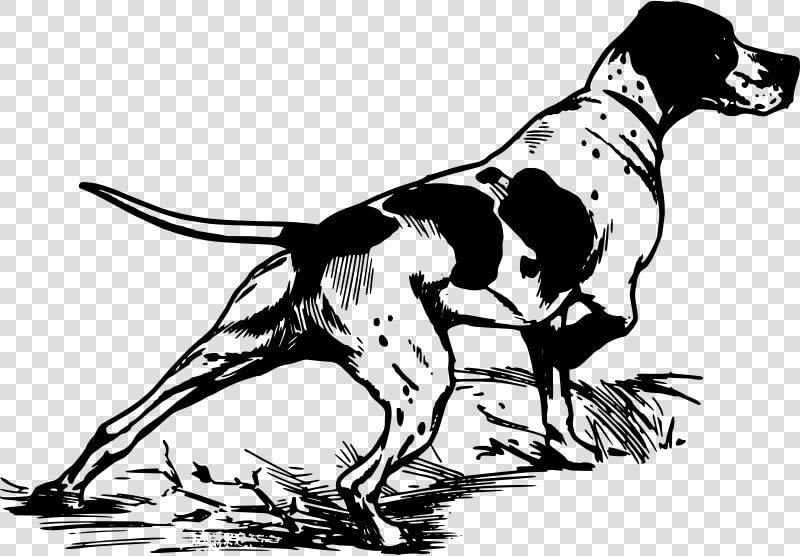 Hunting Dog Ready To Go   Hunting  HD Png DownloadTransparent PNG