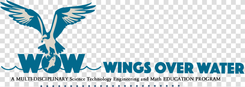 Wings Over Water Logo   Poster  HD Png DownloadTransparent PNG