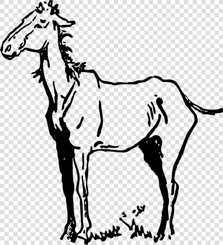 Old Horse Clip Arts   Old Horse Clip Art  HD Png DownloadTransparent PNG