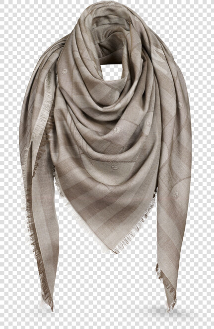 M74554 Pm2 Front View   Louis Vuitton Scarf M75121  HD Png DownloadTransparent PNG