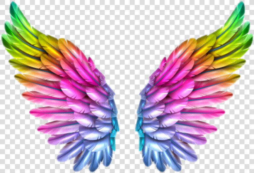 Transparent Tinkerbell Wings Png   Colorful Angel Wings Png  Png DownloadTransparent PNG