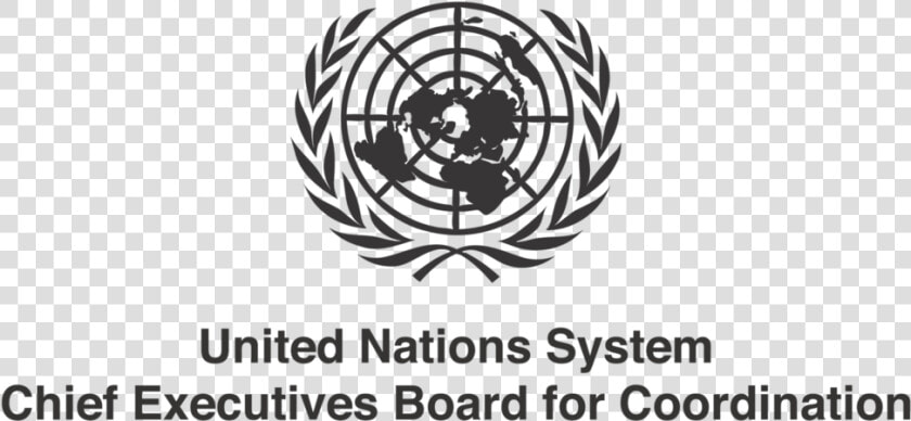 Un Ceb For Coordination   United Nations Seal Png  Transparent PngTransparent PNG