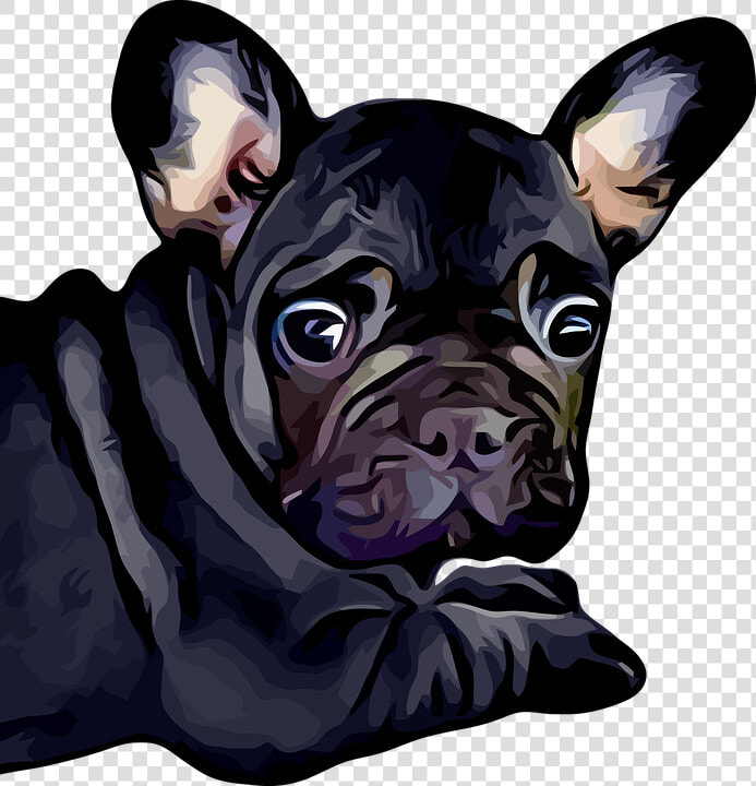 French Bulldog  Dog  Puppy  Baby  Bulldog  Black  Cute   Baby Black French Bull Dogs  HD Png DownloadTransparent PNG