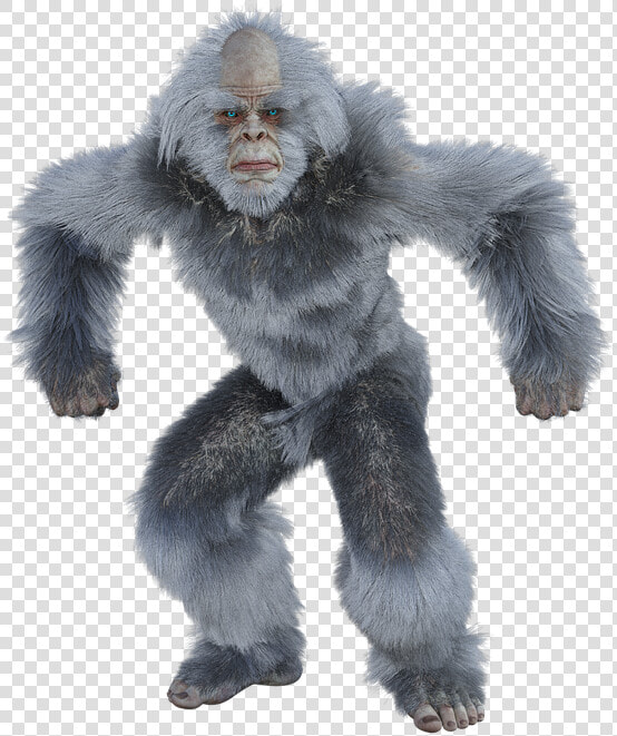 Yeti  Bigfoot  Snow Man  Almas  Sasquatch  Yowie   Gorilla  HD Png DownloadTransparent PNG