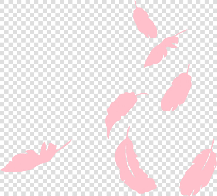 Falling Pink Feathers Png  Transparent PngTransparent PNG