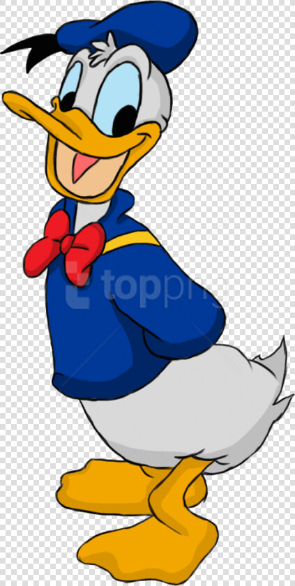 Attractive Donald Duck Png Png Images   Donald Duck Cartoon Drawing  Transparent PngTransparent PNG