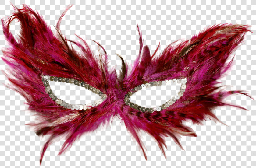 Carnival Mask Png Free Image Download   Feather Masquerade Mask Png  Transparent PngTransparent PNG