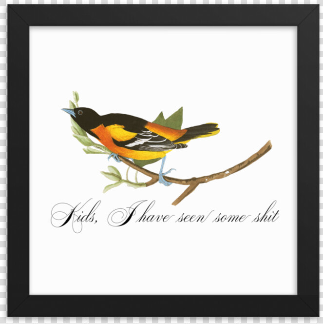 Seen Some Shit Framed Srcset Data   European Swallow  HD Png DownloadTransparent PNG