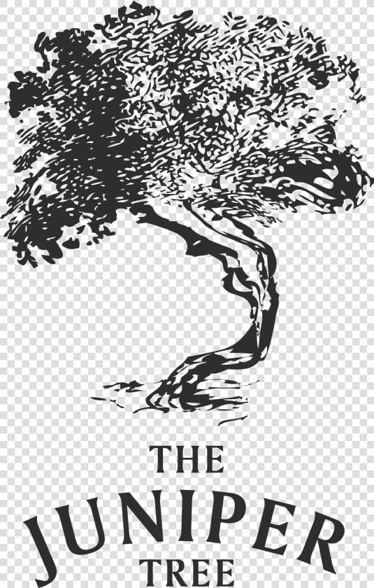 Juniper Tree Logo   Png Download   Black And White Juniper Tree  Transparent PngTransparent PNG