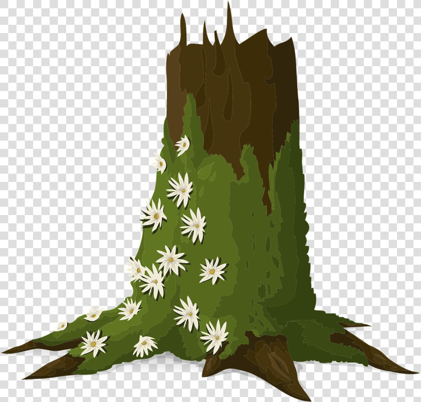 Trees  Trunks  Moss  Green  Leafy  Plants  Woods  Brown   Moss On Tree Clipart  HD Png DownloadTransparent PNG