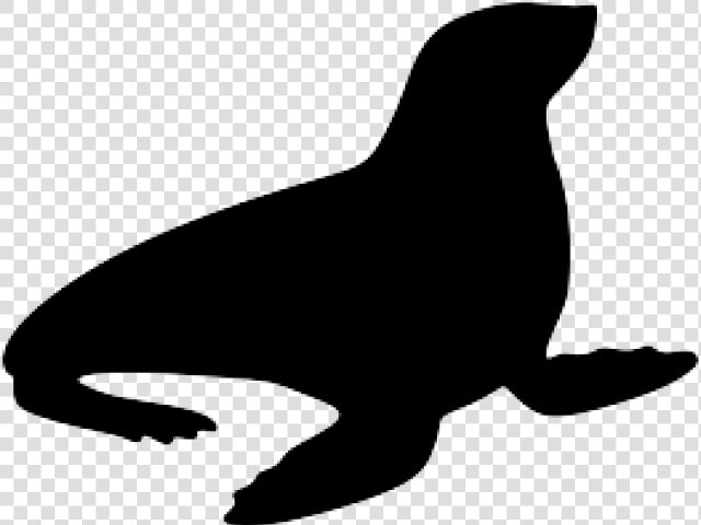 Sea Lion Clipart Ocean Animal   Silhouette Of A Seal  HD Png DownloadTransparent PNG