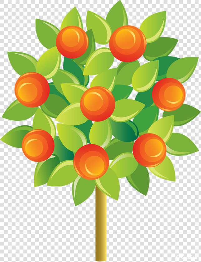 Деревья На Прозрачном Фоне Растровый Клипарт   Tangerine Tree Png Cartoon  Transparent PngTransparent PNG