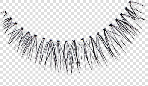 Eyelash Extensions  HD Png DownloadTransparent PNG