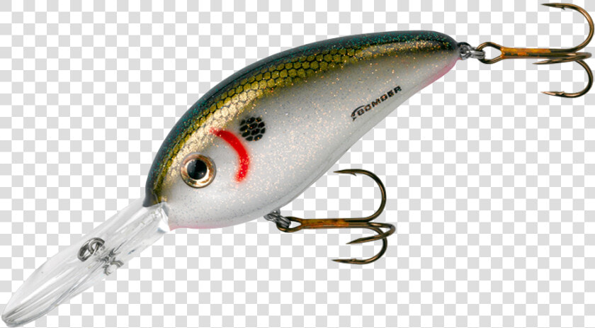 Fat Free Shad  HD Png DownloadTransparent PNG